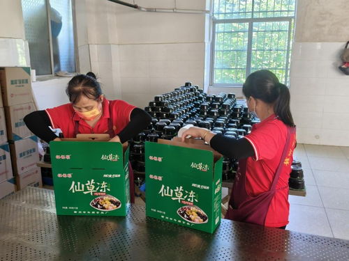 年順食品廠 守護贛南餐桌安全，共筑健康生活新未來